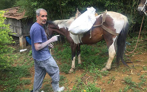 Ephemeral Brazil charity image