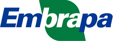 Ephemeral Brazil charity image